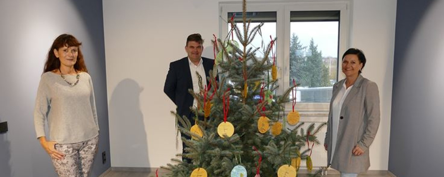 SWF Start der Wunschbaum Aktion