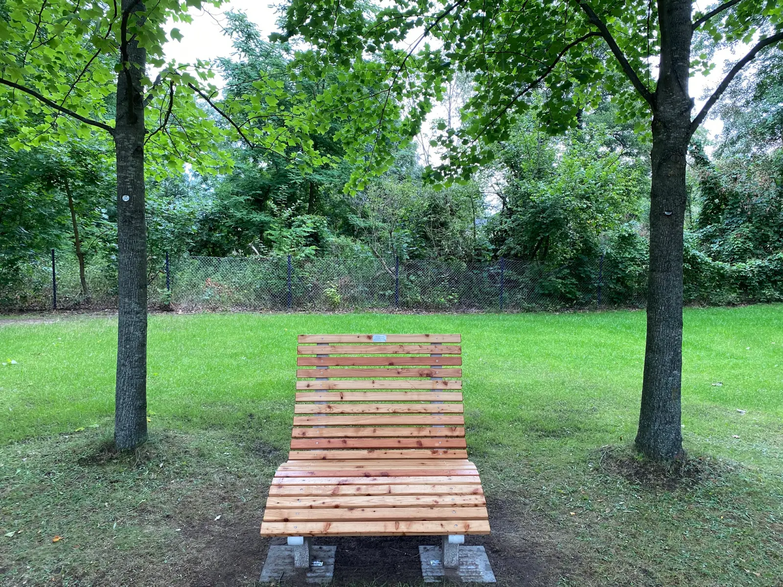 Freibad Forst: Eine geschwungene Sitzbank für ältere Menschen im Schatten von zwei Bäumen.