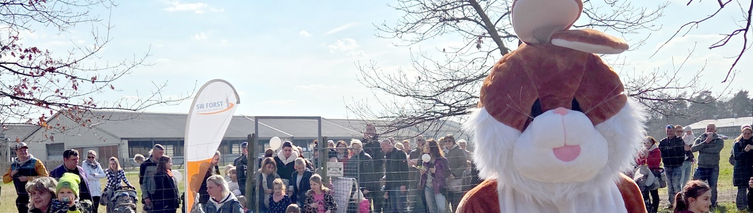 Die Ostereiersuche wird vom Osterhasen auf der Wiese begleitet