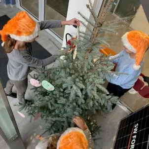 Drei Personen behängen einen Tannenbaum