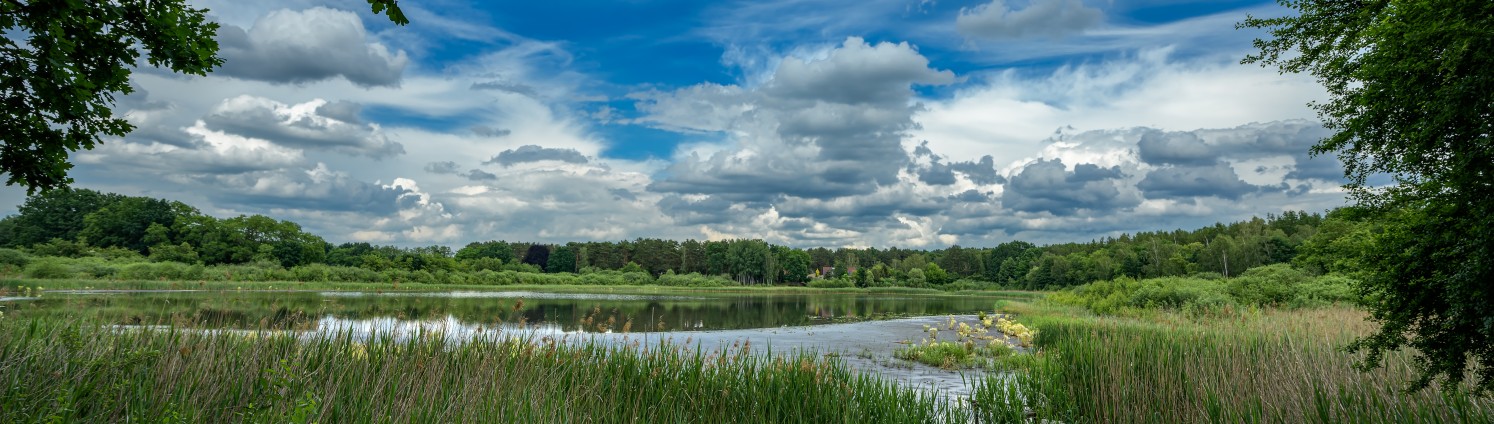 Brandenburger Landschaft