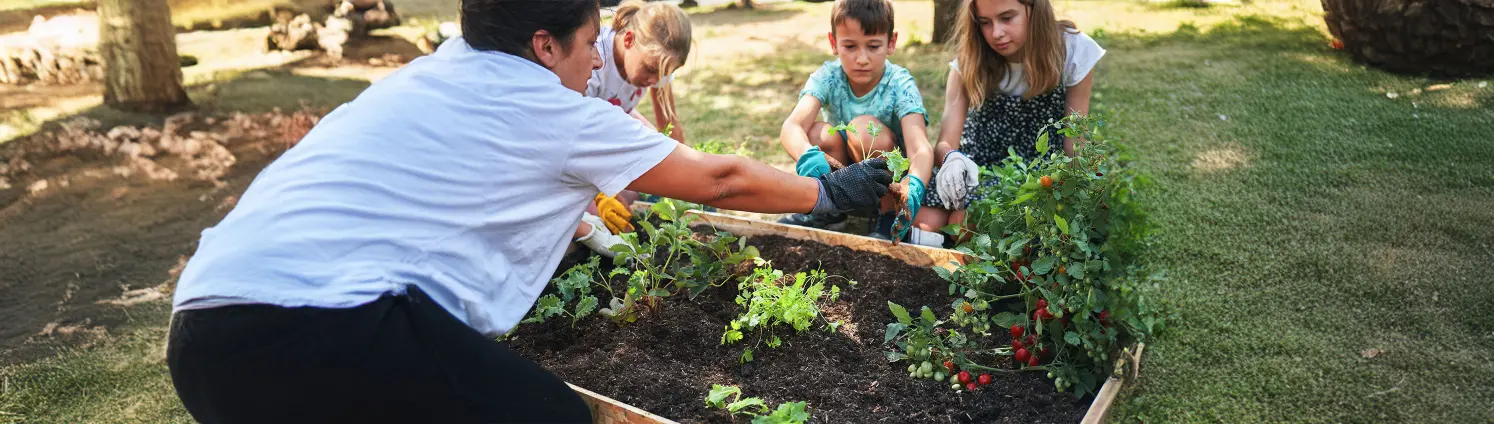Eine Frau pflanzt mit drei Kindern Kräuter und Tomaten in ein Hochbeet ein. Bild mit KI erstellt.